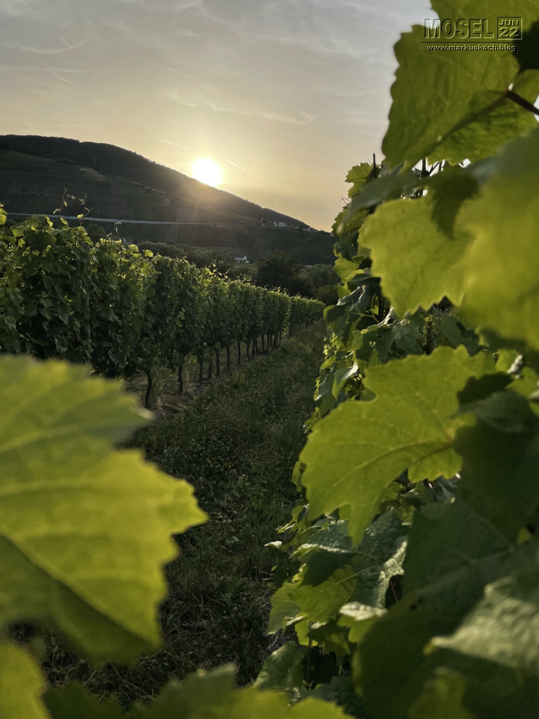 20220615-19_campertour_mosel_mk378