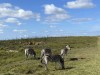 20221103-21_suedafrika_kapstadt_gardenroute_mk0970