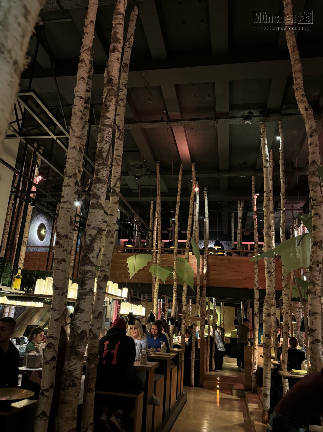 20231104-05_muenchen_mk132