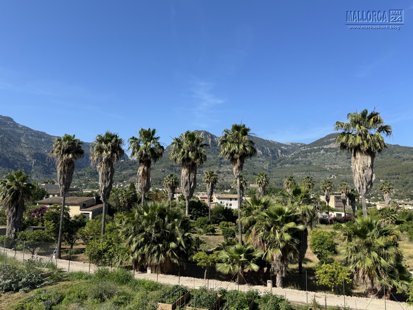 20240524-29_mallorca_mk135