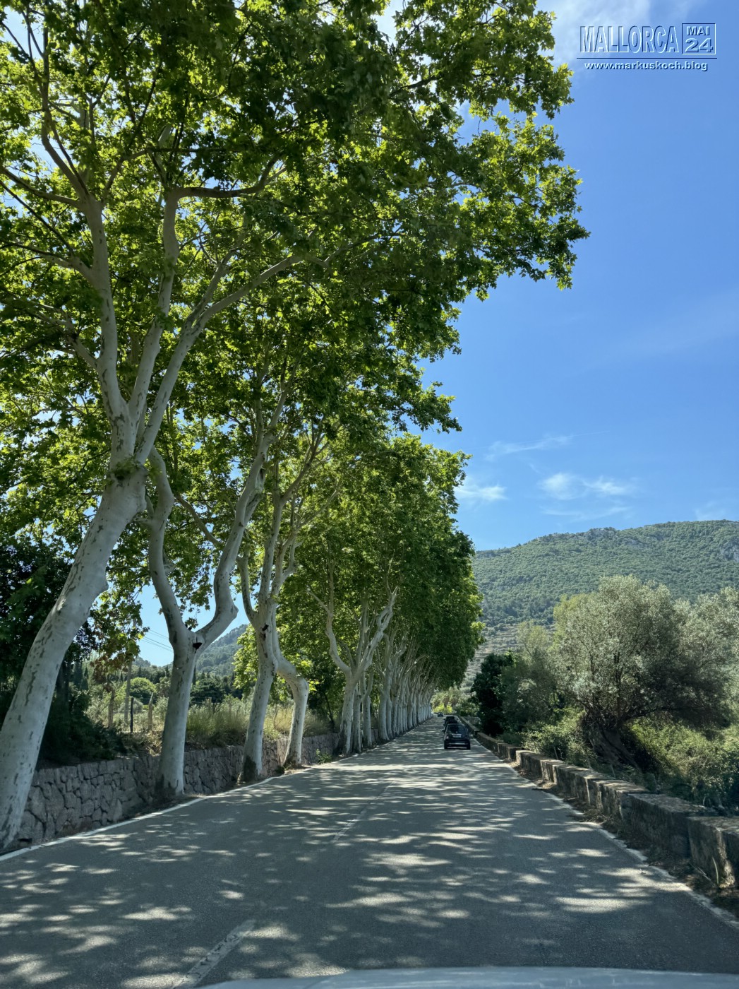 20240524-29_mallorca_mk169