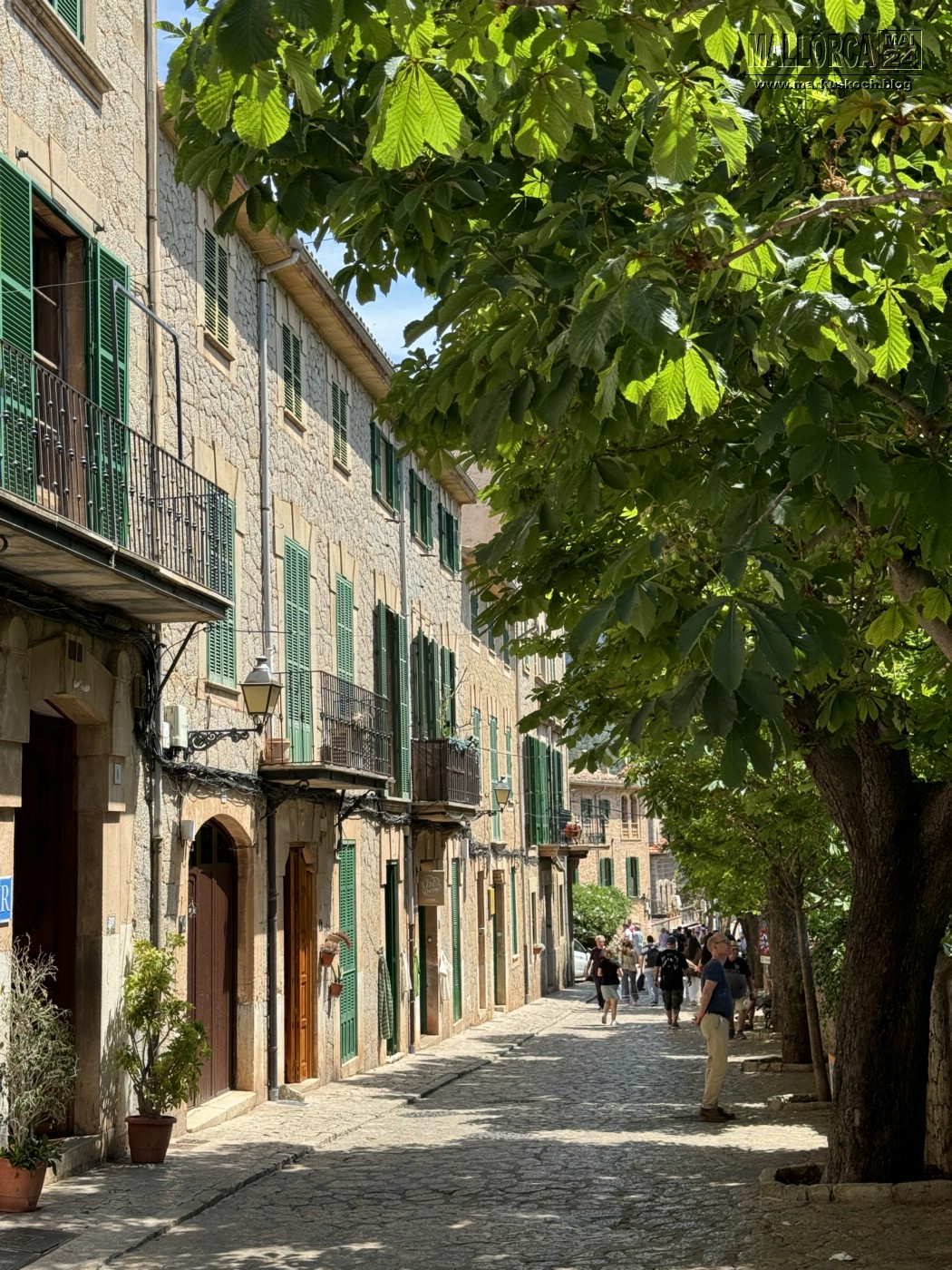 20240524-29_mallorca_mk174