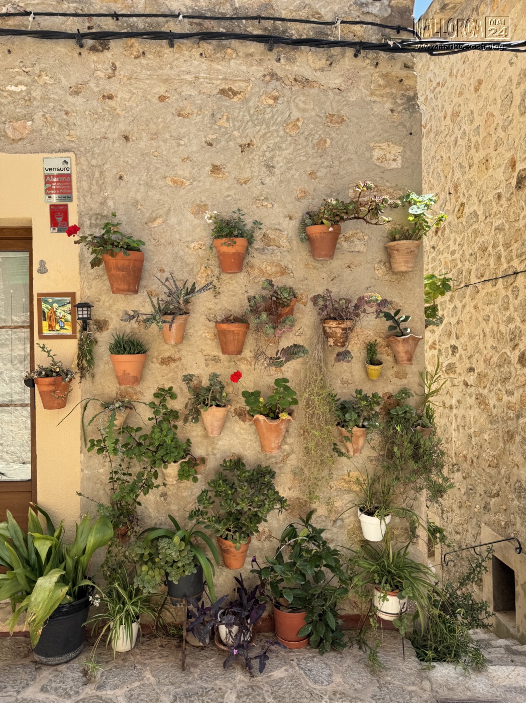20240524-29_mallorca_mk183