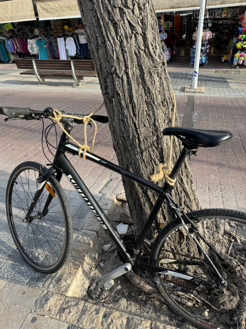 20240524-29_mallorca_mk237