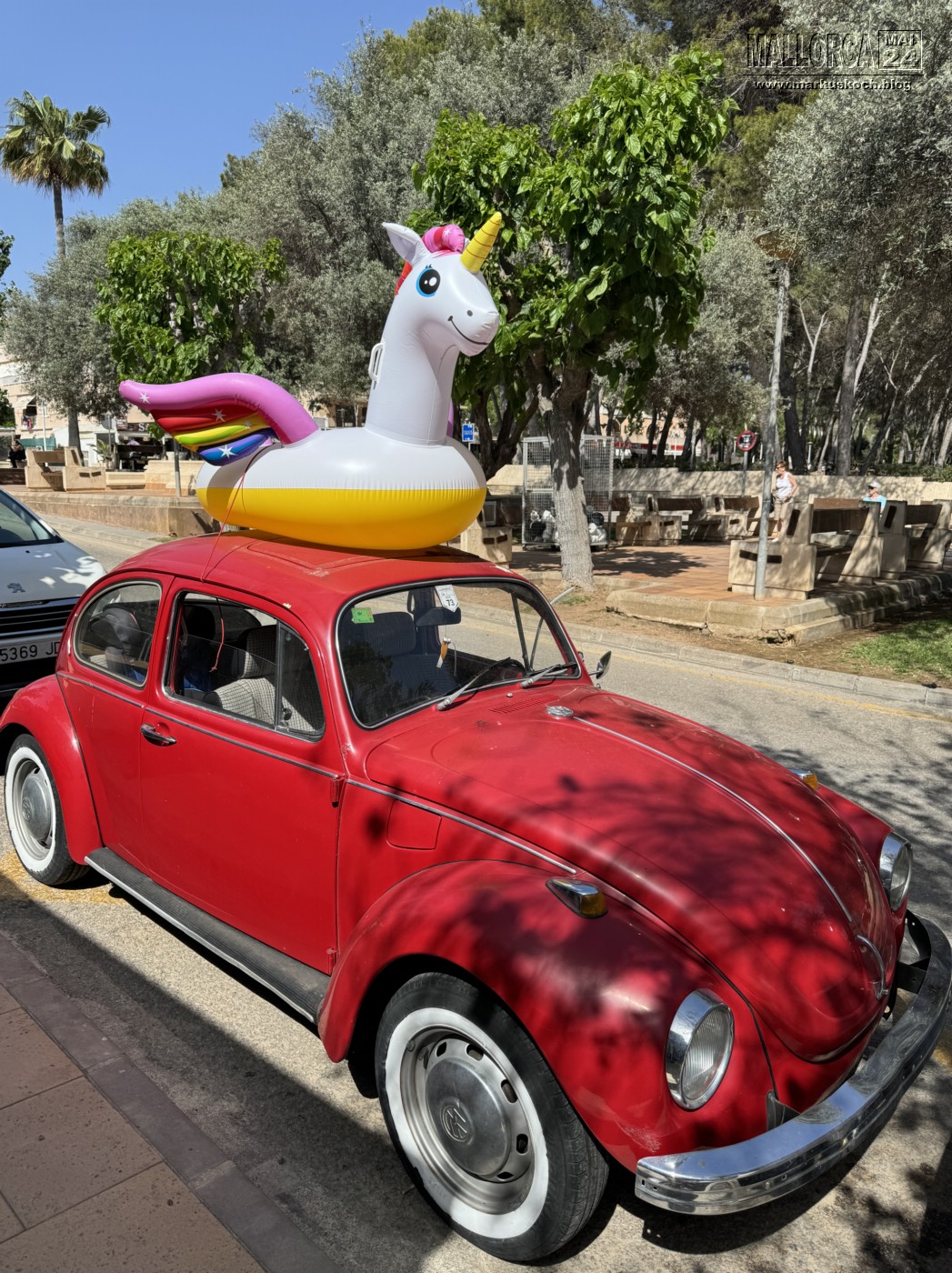 20240524-29_mallorca_mk313