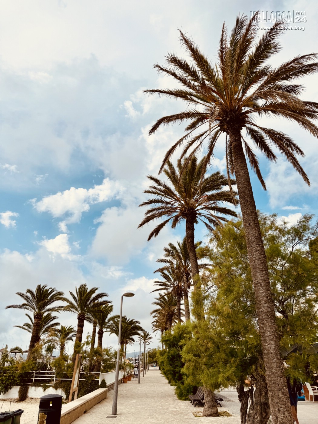 20240524-29_mallorca_mk337