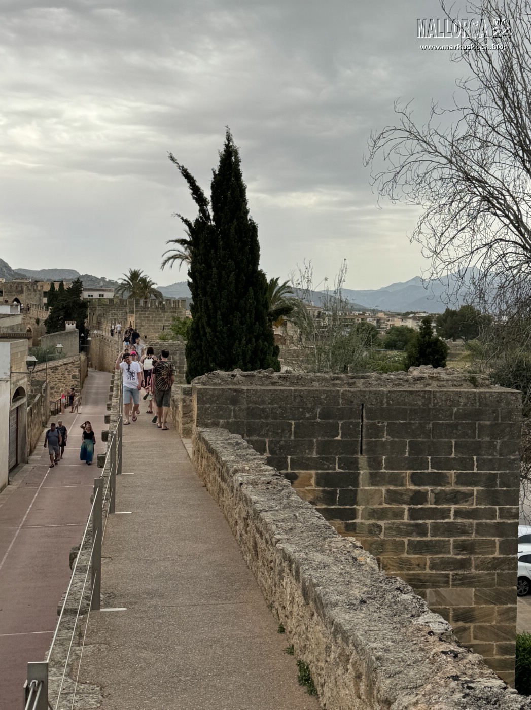 20240524-29_mallorca_mk368