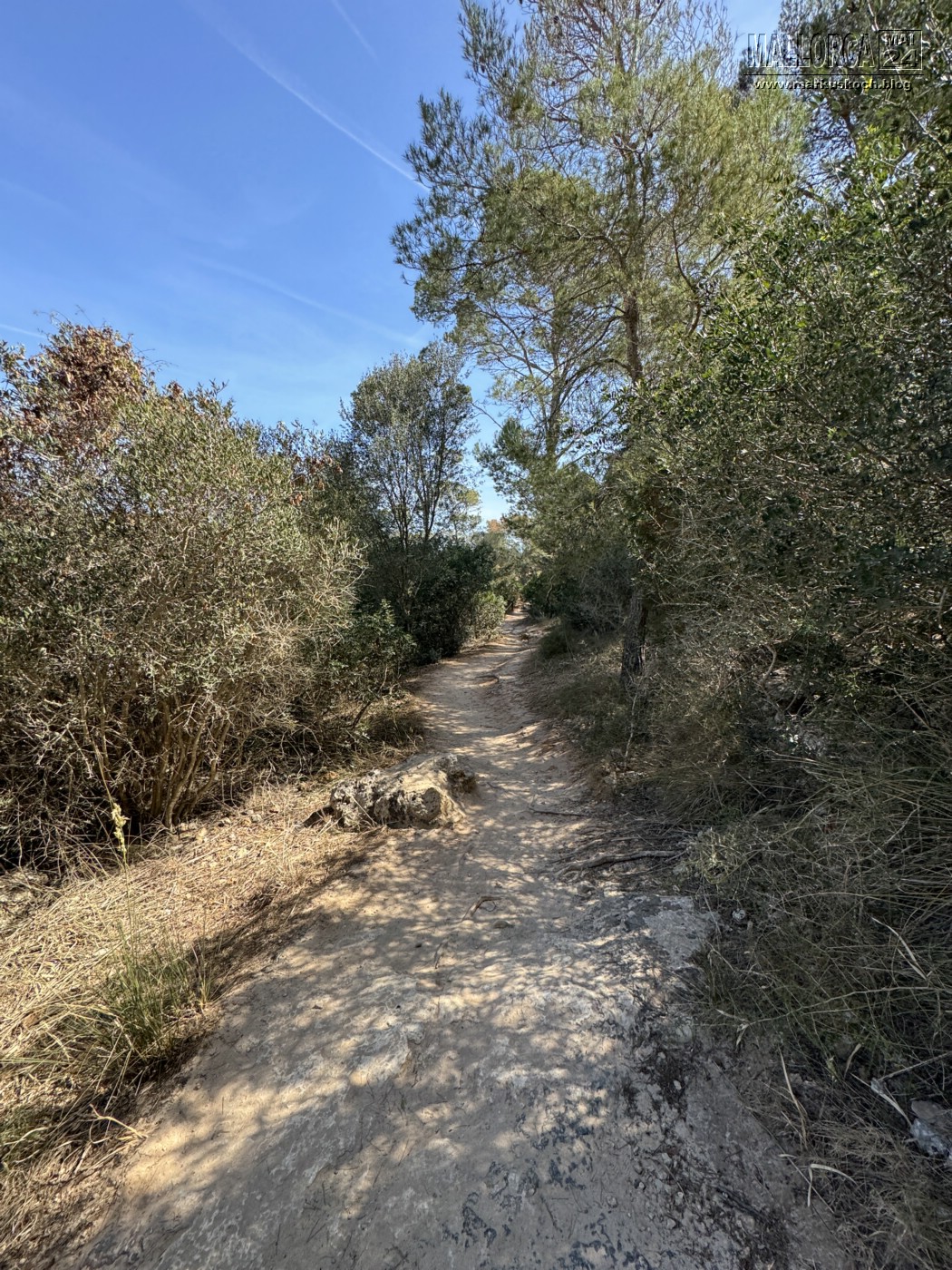 20240524-29_mallorca_mk533