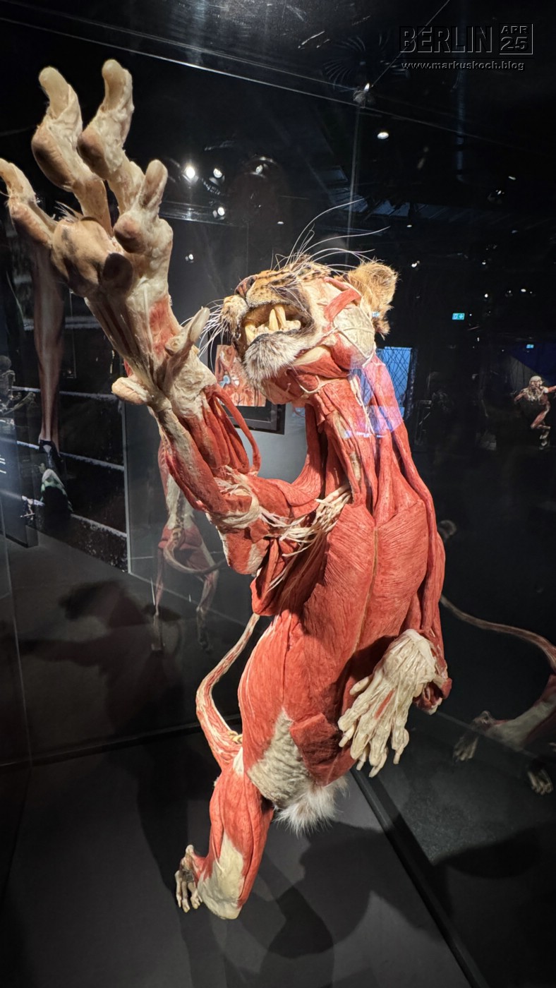 20250417-20_berlin_mk198