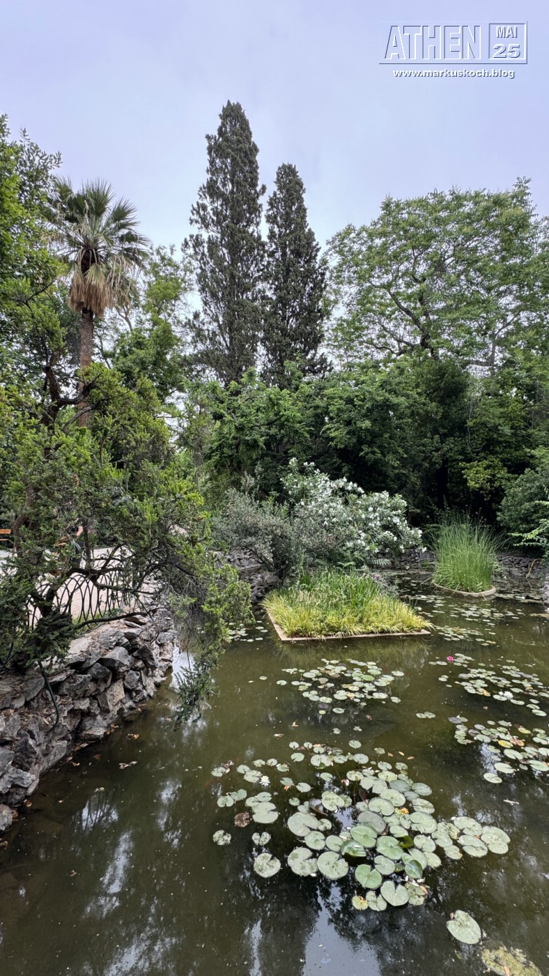 20250524-28_athen_mk237
