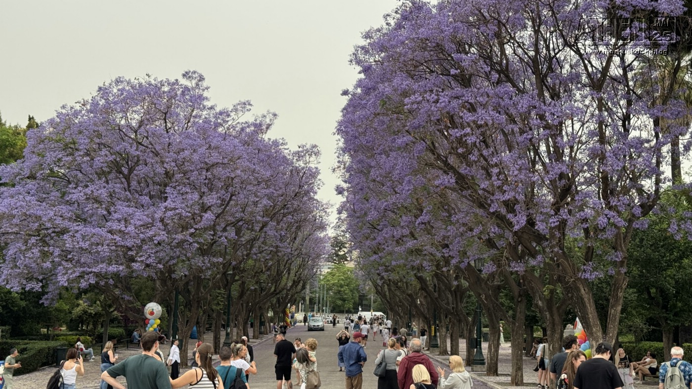 20250524-28_athen_mk243
