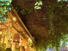 20250524-28_athen_mk368