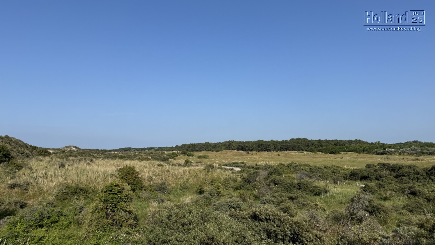 20250610-15_koeln_renissee_holland_mk107