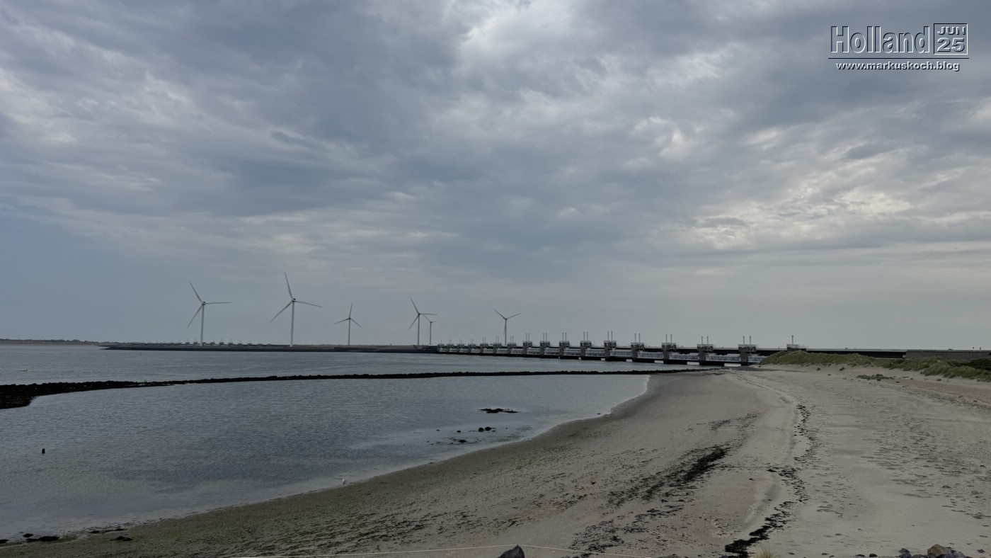 20250610-15_koeln_renissee_holland_mk307