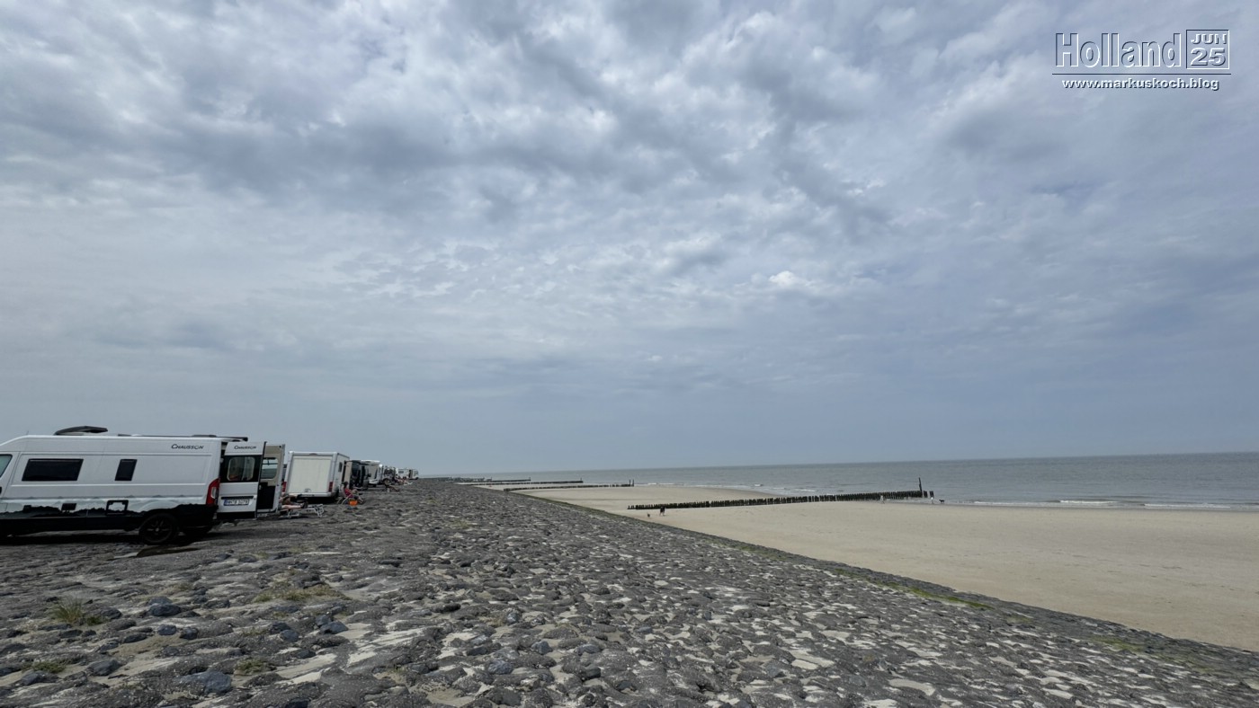 20250610-15_koeln_renissee_holland_mk313