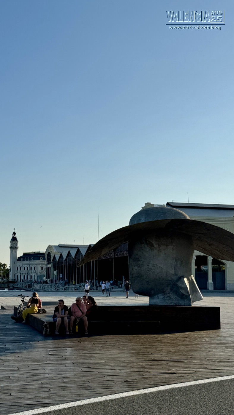 20250731-0803_valencia_mk071