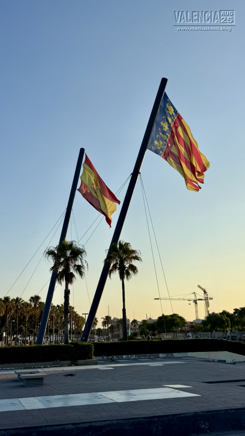 20250731-0803_valencia_mk090