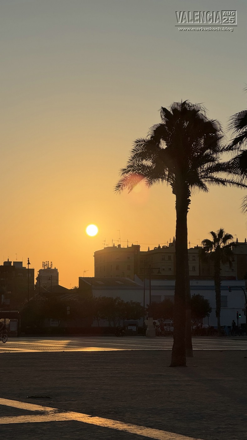 20250731-0803_valencia_mk100