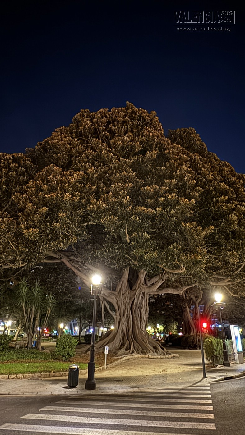 20250731-0803_valencia_mk159
