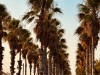 20250731-0803_valencia_mk104