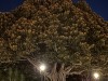 20250731-0803_valencia_mk159