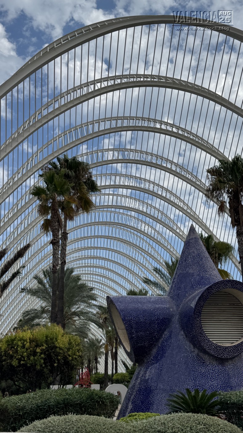 20250731-0803_valencia_mk239