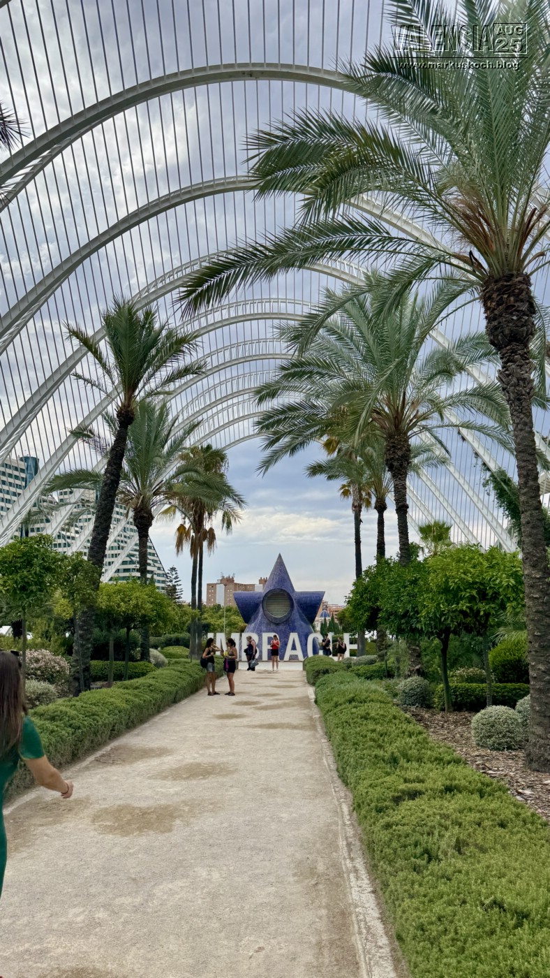 20250731-0803_valencia_mk241