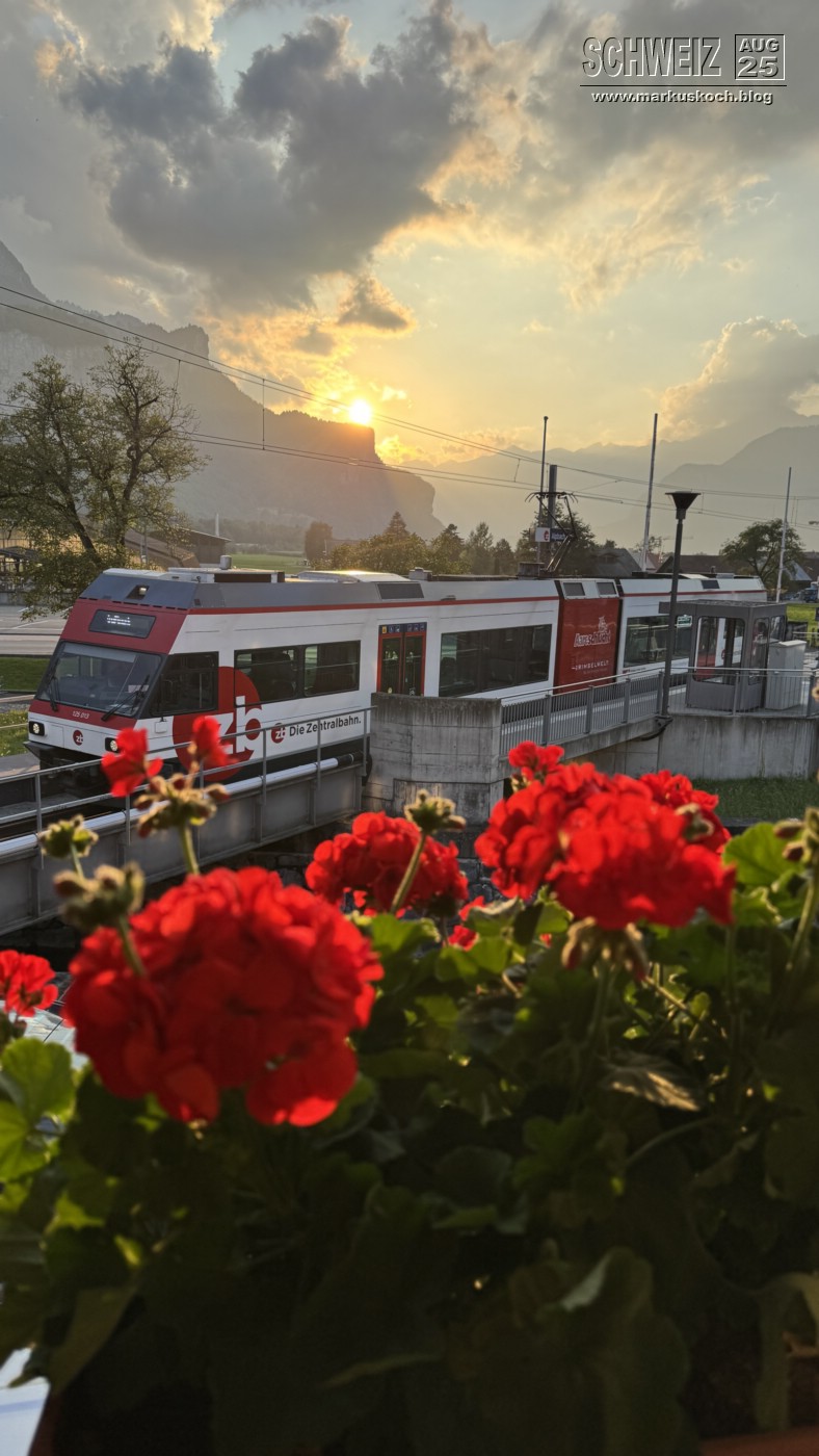 20250816-20_schweiz_rheinfall_jungfrauregion_mk188