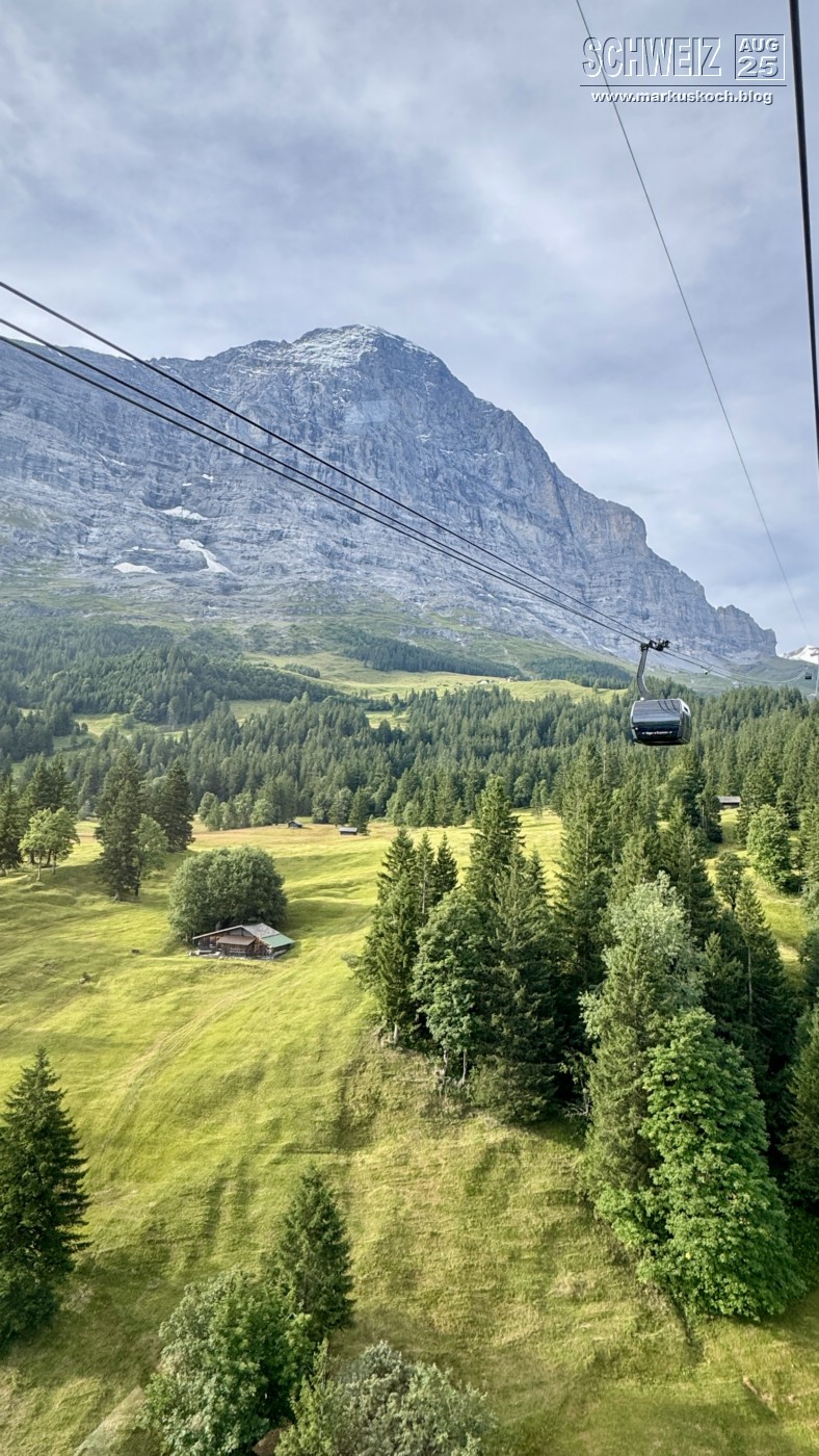 20250816-20_schweiz_rheinfall_jungfrauregion_mk336a