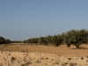 20250903-13_magiclife_penelope_beach_djerba_tunesien_mk123