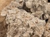 20250903-13_magiclife_penelope_beach_djerba_tunesien_mk198