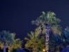 20250903-13_magiclife_penelope_beach_djerba_tunesien_mk484