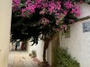 20250903-13_magiclife_penelope_beach_djerba_tunesien_mk758