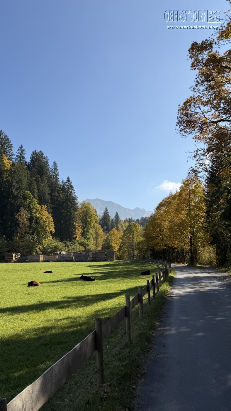 20251010-14_oberstdorf_mk135