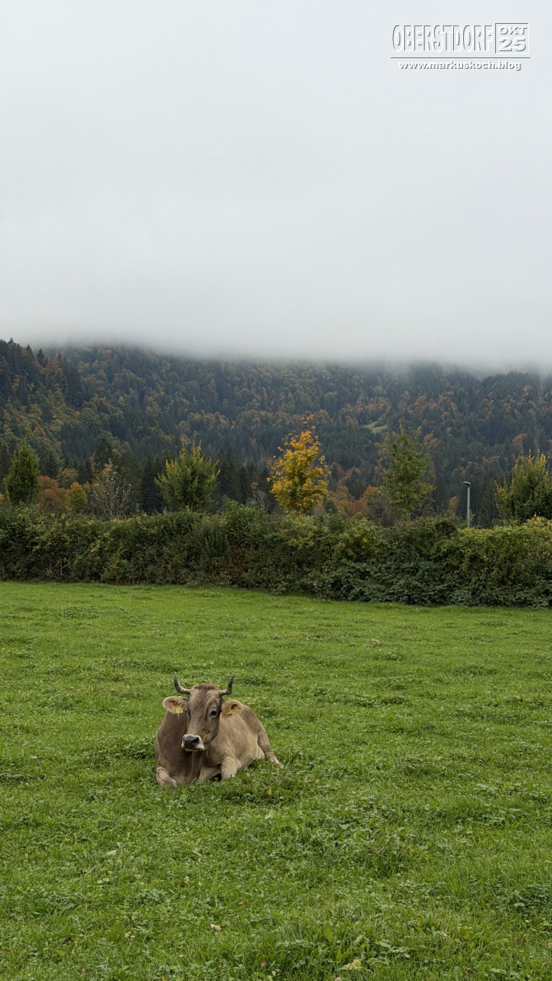 20251010-14_oberstdorf_mk196