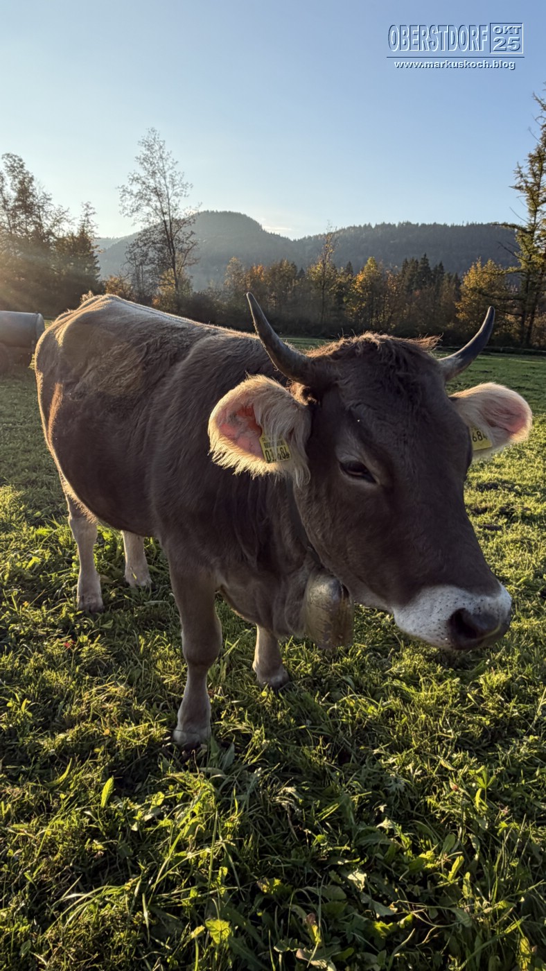 20251010-14_oberstdorf_mk330