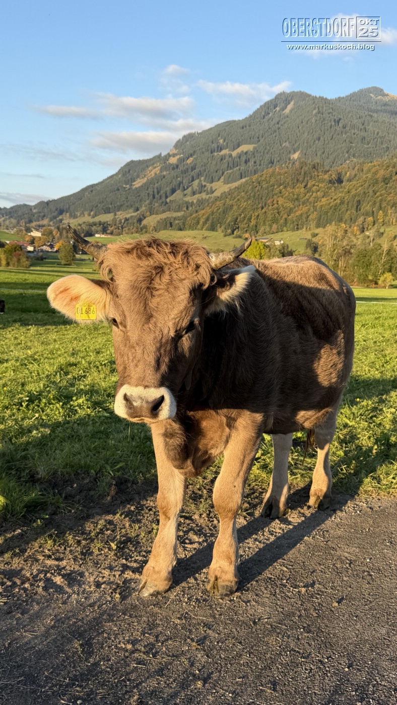 20251010-14_oberstdorf_mk332