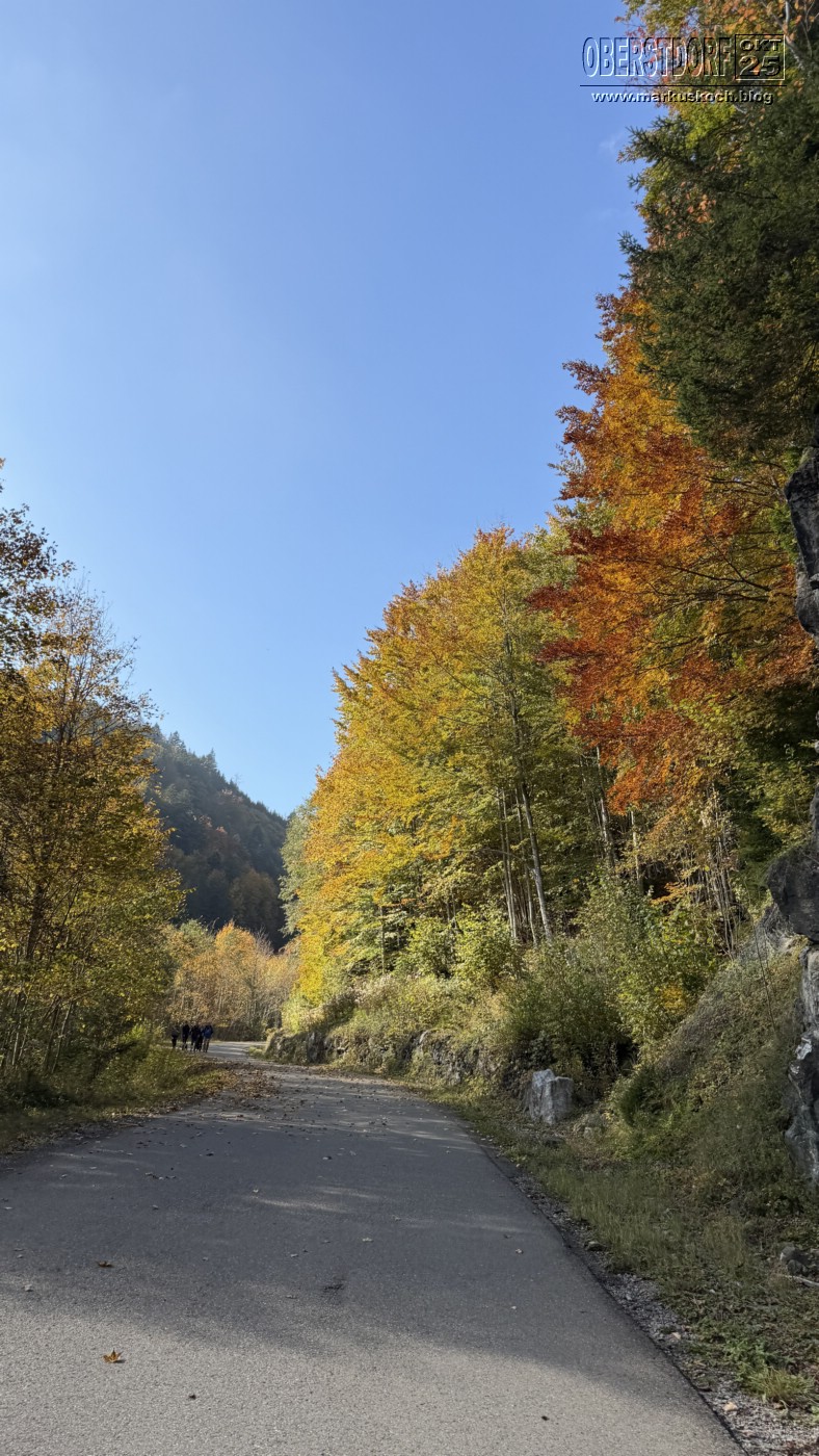 20251010-14_oberstdorf_mk417