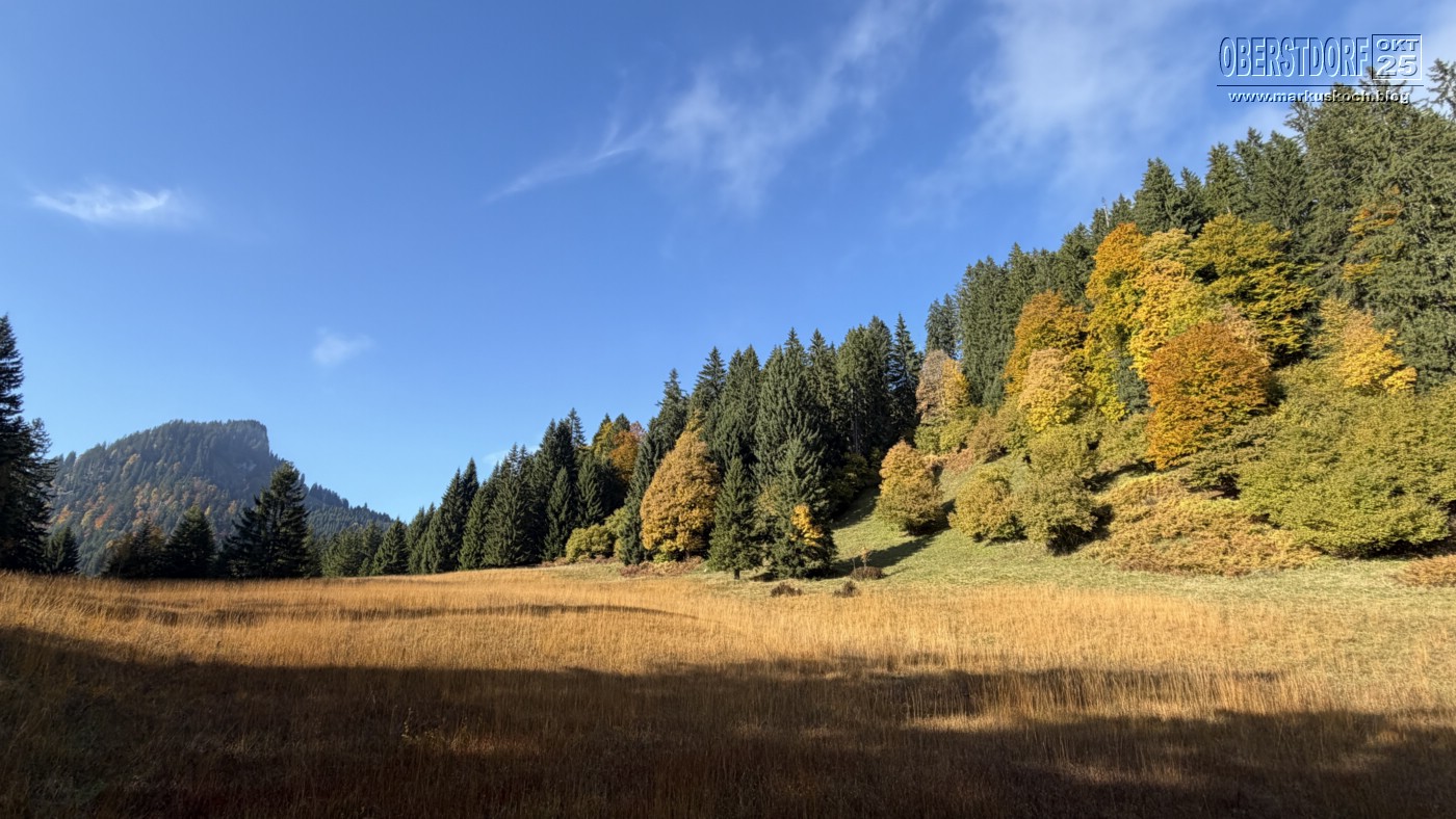 20251010-14_oberstdorf_mk441