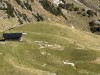 20251010-14_oberstdorf_mk391