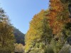 20251010-14_oberstdorf_mk417