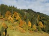 20251010-14_oberstdorf_mk436