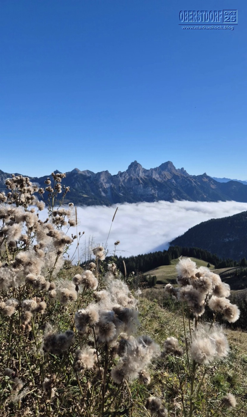 20251010-14_oberstdorf_mk478